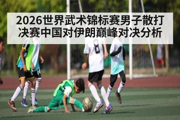 2026世界武术锦标赛男子散打决赛中国对伊朗巅峰对决分析